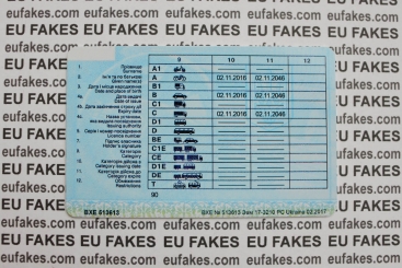 Ukraine Driving License 2 